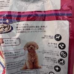 グランデリ小袋3袋&犬用フィルター式給水機の画像