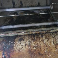 12年製タイガートースター