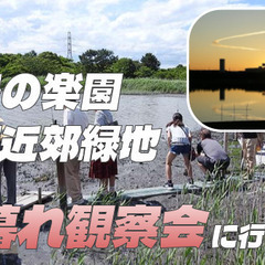野鳥の楽園「行徳近郊緑地」の夕暮れ観察会に行ってみよう！
