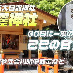 60日に一度の己巳(つちのとみ)の日に蛇窪神社に行ってみよう！中...