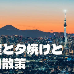 アイ・リンクタウンと市川散策。夕日と水星もみてみよう！