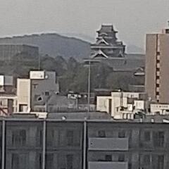 入院して退屈してます。