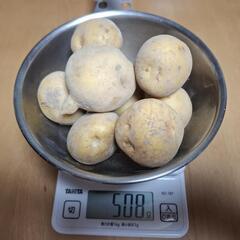 キタアカリ ５００g   まだあります！   の画像