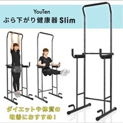 美品 ぶら下がり健康器　説明書・グローブ付
