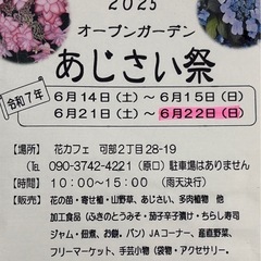 500円〜　めだか　メダカ　めだか卵  