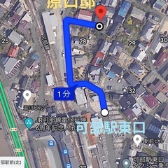 500円〜　めだか　メダカ　めだか卵  の画像