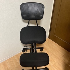 バランスチェアの画像