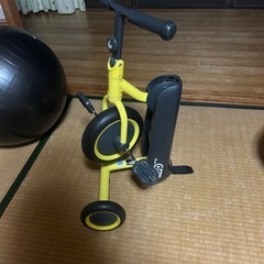 室内使用 ディーバイクダックスの画像