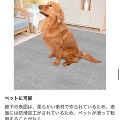 廊下 階段 玄関 マット ロングカーペット 滑り止め カット可 ペット 高齢者の画像
