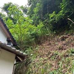 草むしり伐採などの画像