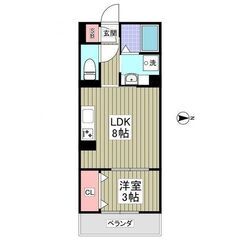 KS🌸敷金１ヶ月🌟礼金１ヶ月🌟仲介手数料ゼロ🌟築浅物件🏠✨ペット...
