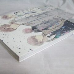 MIRROR 宝井理人 イラスト集 の画像