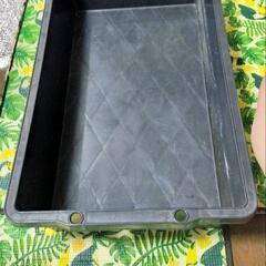 メダカの容器？えびすくい、メダカすくいにも。黒大プラケの画像