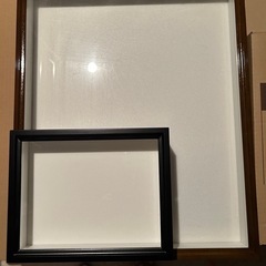 バードウイング製　標本箱（ドイツ箱）