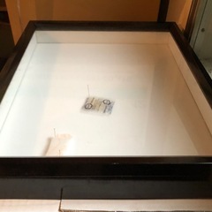 バードウイング製　標本箱（ドイツ箱）の画像