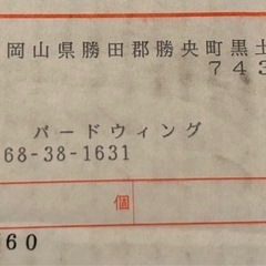 バードウイング製　標本箱（ドイツ箱）の画像