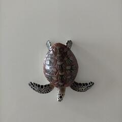 ウミガメ　フィギュアの画像