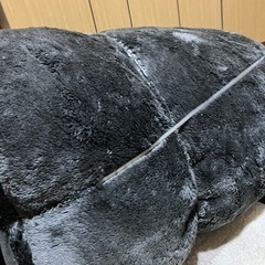 【受け渡し決定】約3畳用ラグ　カーペット　差し上げます