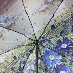 未使用  ポーチ付き　折りたたみ日傘（雨兼用）の画像
