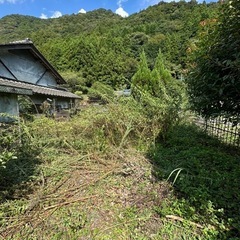 草刈り代行致します。
