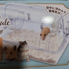 ハムスター用品の画像