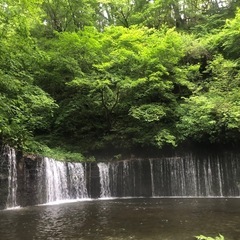 価値観の合う友だちが欲しい🌟