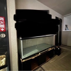 大型水槽