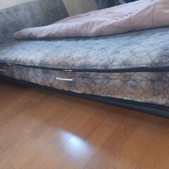 ダブルベッド！