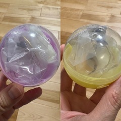 うちの子のけだまだま
