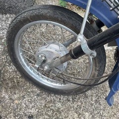 スズキバーディーの画像