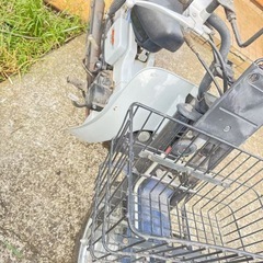 スズキバーディーの画像