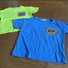 🧸LOGOSお揃いTシャツ🧸