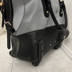 バック型キャリーの画像