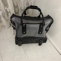 バック型キャリーの画像