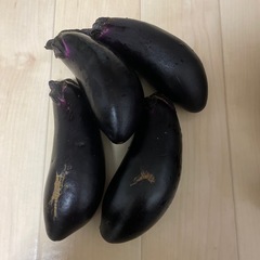なすび