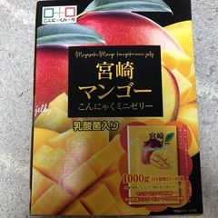 宮崎マンゴー　こんにゃくミニゼリー　1kg