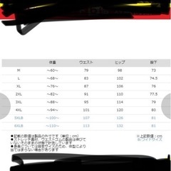 コミネ皮パン1回のみ使用の画像