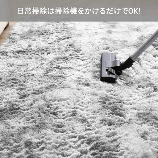 ✨美品✨　毛長絨毯