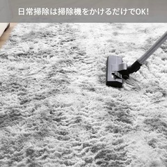 ✨美品✨　毛長絨毯の画像