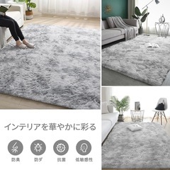 ✨美品✨　毛長絨毯の画像