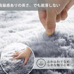✨美品✨　毛長絨毯の画像