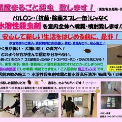 ★お部屋まるごと殺虫　致します！★（衛生害虫駆除・予防対策）