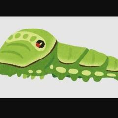 【至急！】アゲハの幼虫もらってください