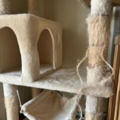 キャットタワーあげますの画像