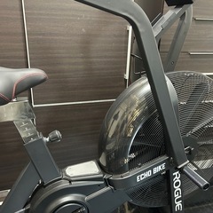 ④ROGUE エコーバイクV3.0　オプション多数付き