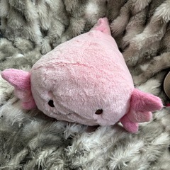 ぬいぐるみ