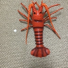 ロブスター