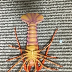 ロブスターの画像