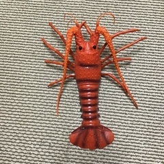 ロブスターの画像