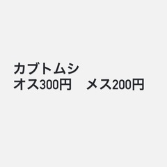 カブトムシ　オス300円、メス200円
